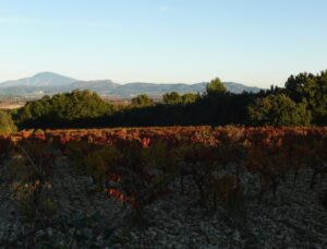 L'automne est une saison magnifique. Escapade dans le Vaucluse, autour de <a href=